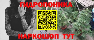 дмт Можайск