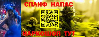 дмт Можайск